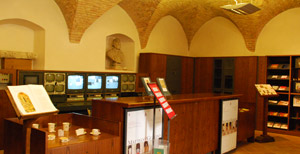 Atrio Museo Civico Rocca Flea