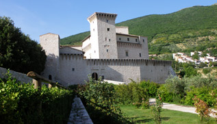 Rocca Flea